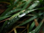 f28t2722p9818960n1.jpg