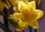 Kopie_von_DSC_0255.jpg