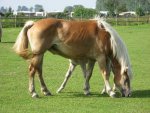 Nordsee2_800x600.JPG