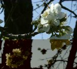 DSCF1202.JPG