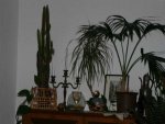 k-IMG_1361.JPG