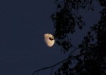 Kopie_von_DSC_0029.JPG