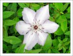 Test_digital_004.jpg
