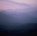 desert2.jpg