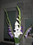 23.6.2007_011.jpg