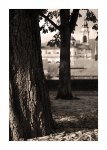 DSC_0118_Solothurn-OldTown-Fall-2008-b-w.jpg