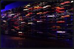Tag6_135_HardRockCafe-Gitarrenwand_900-forum.jpg