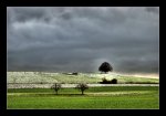 DSC_0039_40_41-November-Storm.jpg