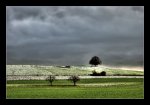 DSC_0039_40_41-November-Storm_version2.jpg