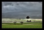 DSC_0039_40_41-November-Storm_vers3.jpg