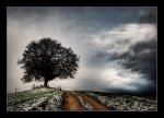 DSC_0046_Stormfront.jpg