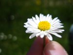 10.05.08 047.jpg
