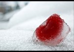heart&snow.jpg