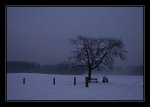 DSC_0004_once upon a winter's eve.jpg