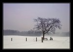 Winter_downunder_kopie.jpg