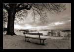 DSC_0021_2_3-Winter Afternoon.jpg