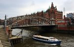 IMG_1243_bearb.jpg