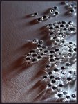 pearls I.jpg