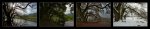 Erlimoos - Four Seasons.jpg