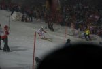 DSC_1972.jpg