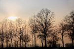 IMG_1345.jpg