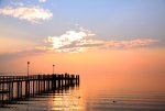 IMG_1392.jpg