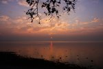 IMG_1972.jpg