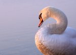 IMG_1626.jpg