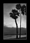 025_22A_Beach_California.jpg