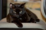 kater.jpg