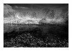 DSC_0005_Aare bei Arch.jpg