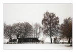 DSC_0015-Deitingen-February-Morn.jpg