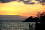 DSC01372.jpg