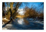DSC_0003_Naturschutzgebiet Aare bei Arch.jpg