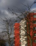 CIMG4683.jpg