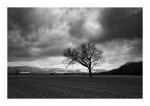 DSC_0078-Cloudy Day.jpg