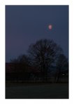 DSC_0028-Daybreak.jpg
