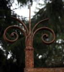 6924_Rost.jpg