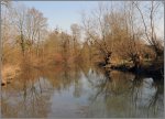 Flusslandschaft Orig [800x600].jpg