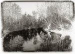 DSC_0210_Flusslandschaft 3 [800x600].jpg