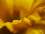 P4043154-O.jpg