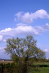 himmel3.JPG