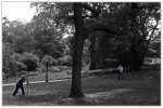 Tag7_038_Falke+Fotografen_ck_900-forum.jpg
