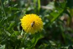 DSC_5423.jpg