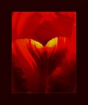 Temperament-a.JPG