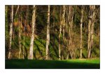 DSC_0245-Spring-Magical Evening Light - Kt-Basel-Landschaft.jpg