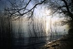ElbeRiver-ColdMorningSun-FotoFAQ.jpg