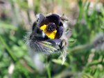 DSC_6604_3_faq.jpg