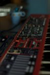 DSC_3992.jpg