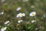 DSC_4414.jpg